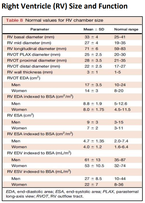 ASE reference table for Right Ventricle Size